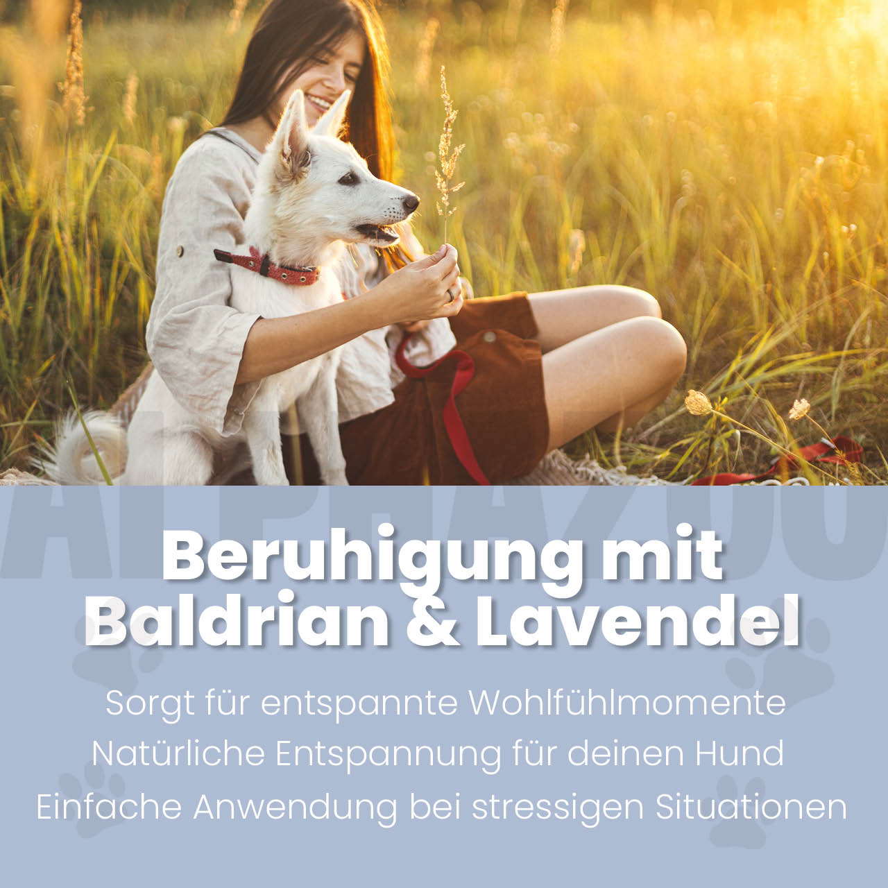 Seelenruhe Körbchenspray für Hunde – Ansicht 2