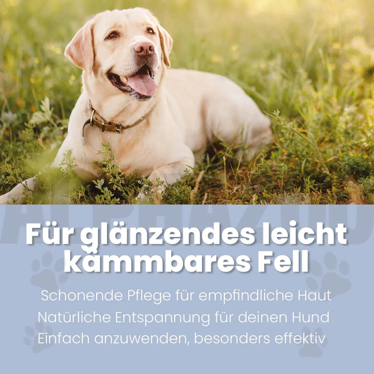 Sensibelchen Fellspray für Hunde – Ansicht 2