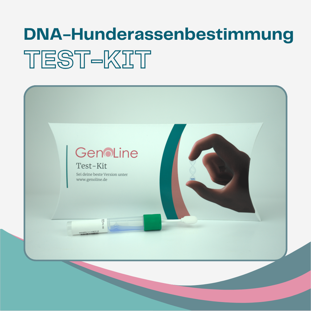 DNA Hunderassenbestimmung – Ansicht 2