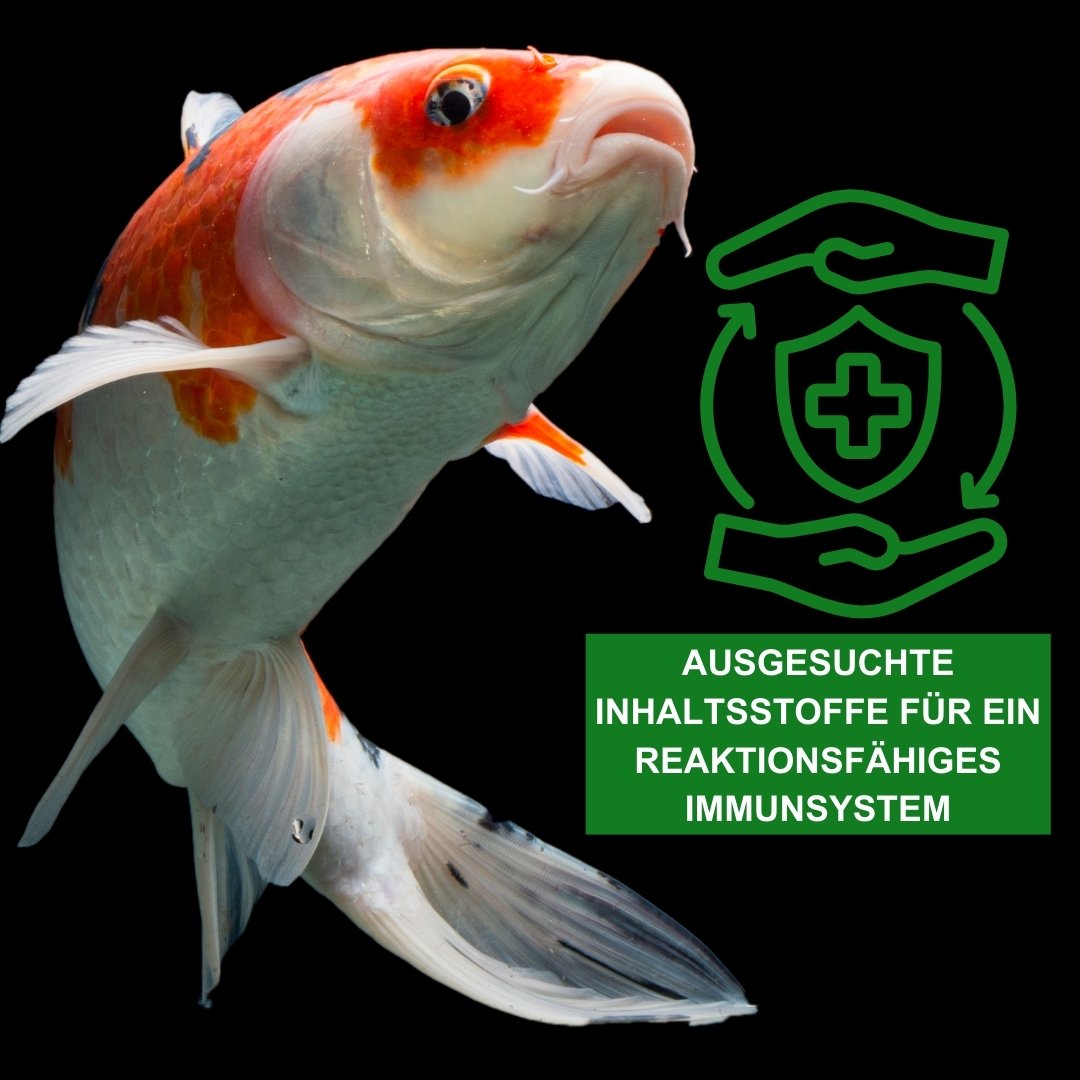 Aquaristik & Koi