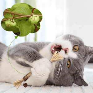ZAHNLIEBE Katzen-Zahnpflege – Kausticks zur Maulhygiene – Ansicht 3