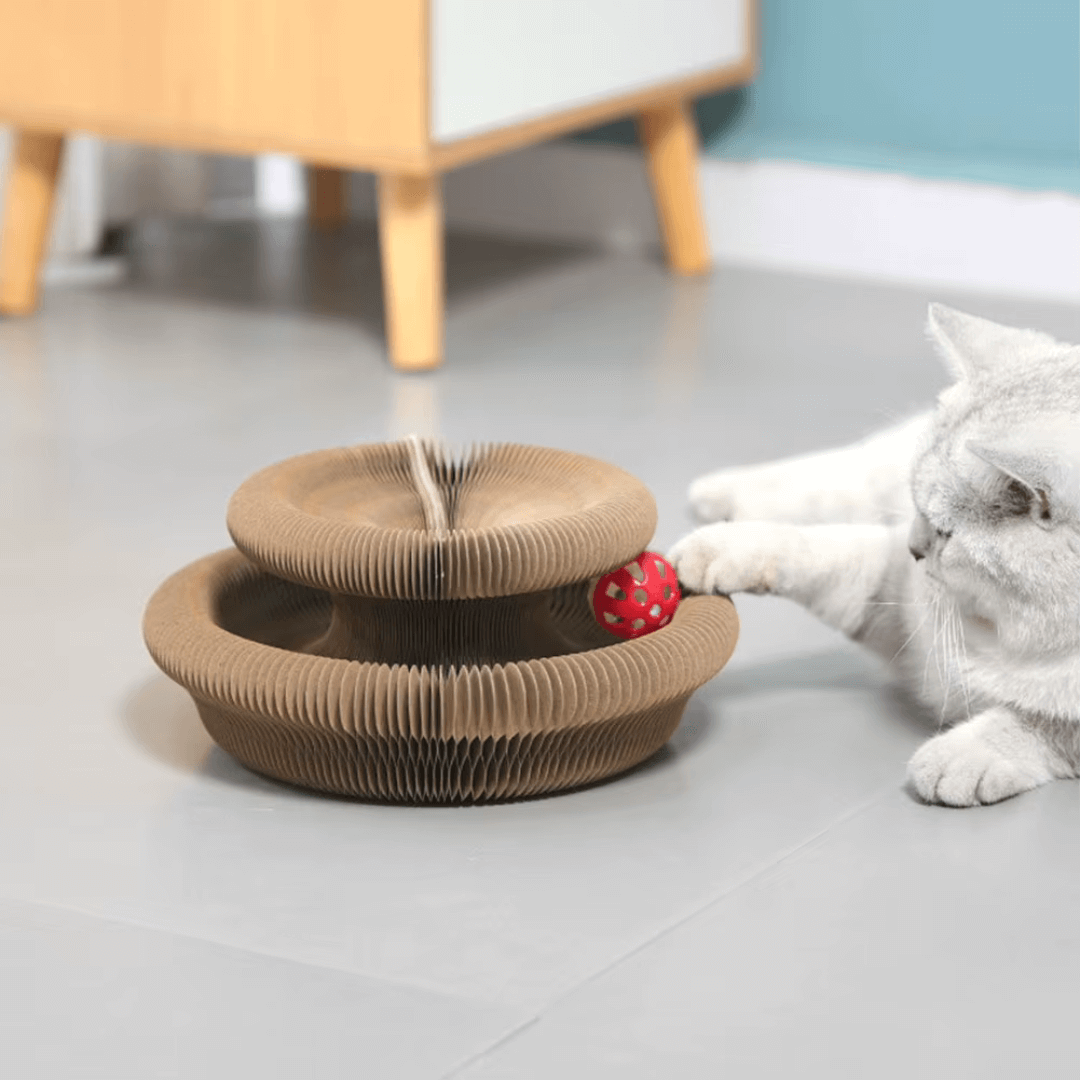 KATZEN GLÜCK Kratztunnel – Katzenspielzeug und Kratzfläche – Ansicht 3