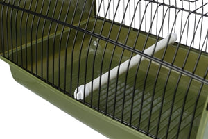 Trixie Transportbox Vogel/Nagetier Grün