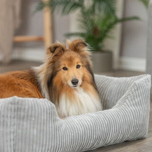 Trixie Hundekorb Vital Jonna Gerippter Samt Grau