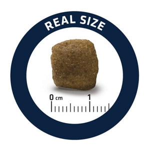 Advance Veterinary Diet Hundegelenke Weniger Kalorien