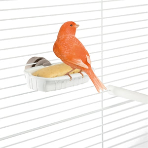 Imac Vogel-Snackhalter Sortiert