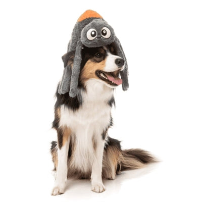 Fuzzyard Arachnate Die Spinne Grau/Orange