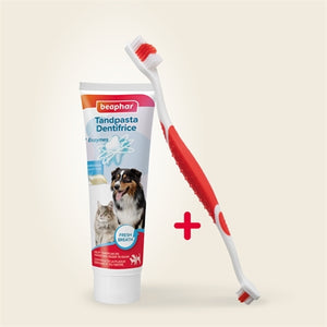 Beaphar Und Bürste Kombi-Packung