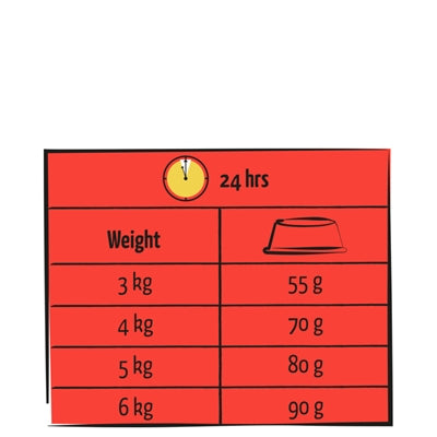 Lara Larve Erwachsenes Rind