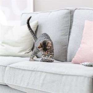 Trixie Spielkissen Leo Panther Print Mit Baldrian Sortiert