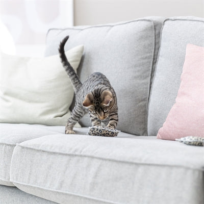 Trixie Spielkissen Leo Panther Print Mit Baldrian Sortiert