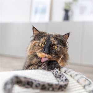 Trixie Katze Stick Schwanz Panther Druck Plüsch Mit Katzenminze