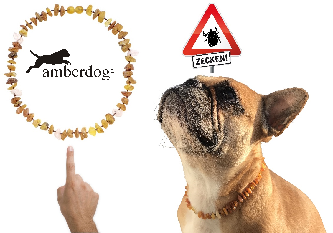 Hunde Bernsteinkette Rosenquarz – Ansicht 3
