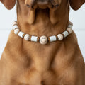 Hundekette EM-Keramik-Wood-Flex