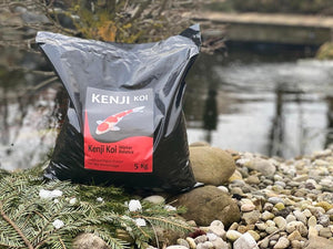 KENJI KOI Winter Balance - sinkend – Ansicht 6