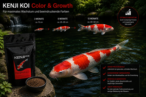 KENJI KOI Color & Growth 5kg – Ansicht 5