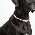 EM Keramik Kette Amberwood für Hunde