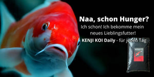 KENJI KOI Daily Koi Food - Für die ganze Saison – Ansicht 5