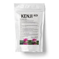 KENJI KOI Fadenalgen Stopp 2,5kg