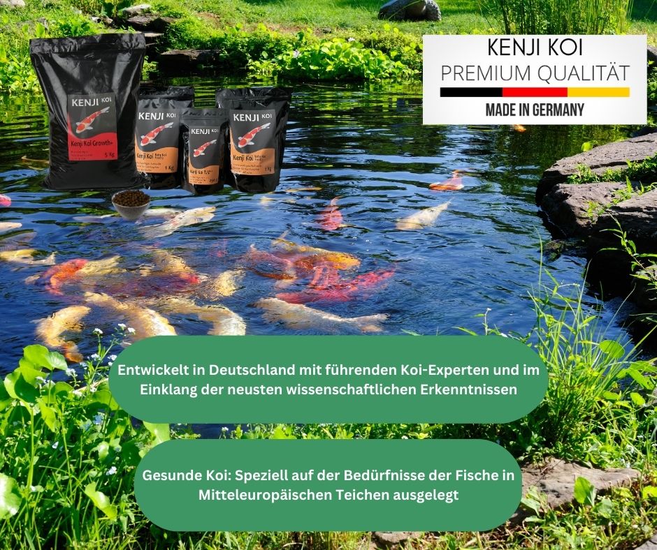 KENJI Koi Growth+ Wachstumsfutter 5kg – Ansicht 8