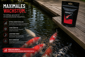 KENJI Koi Growth+ Wachstumsfutter 5kg – Ansicht 4