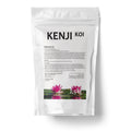 KENJI KOI Schlamm Ex 2,5 Kg