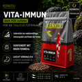 KENKOU® Vita-Immun Mix Koifutter 6 mm - schwimmend