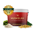 Muskeln+