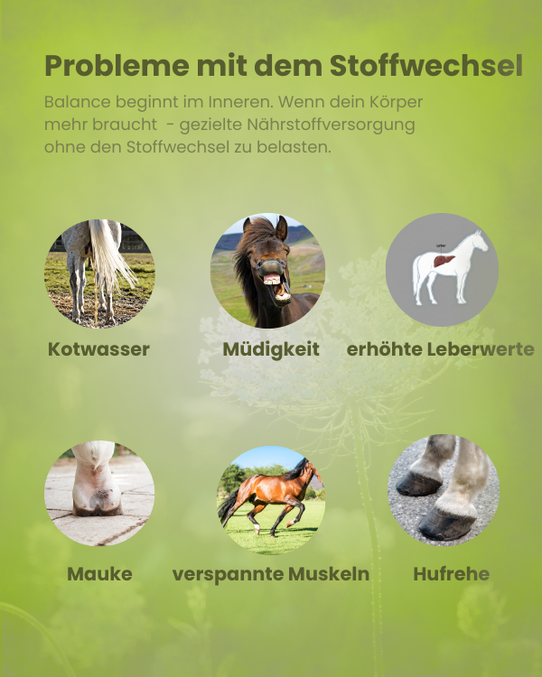 Krähenbusch® Mineral Stoffwechsel – Ansicht 3