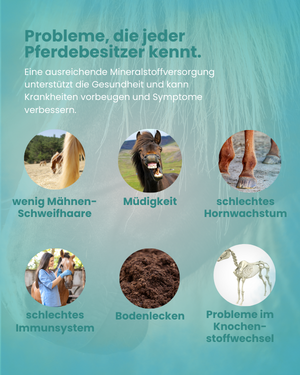 Krähenbusch® Mineralfutter Organisch – Ansicht 3