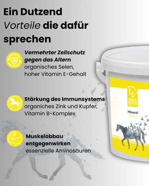 Krähenbusch® Mineral Senior – Ansicht 3