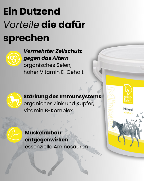 Krähenbusch® Mineral Senior – Ansicht 3
