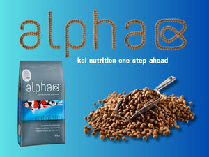 alpha complete – Ansicht 4